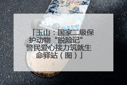 玉山：国家二级保护动物“脱险记” 警民爱心接力筑就生命驿站（图）
