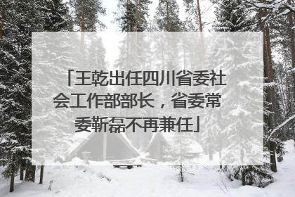 王乾出任四川省委社会工作部部长，省委常委靳磊不再兼任