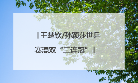 王楚钦/孙颖莎世乒赛混双“三连冠”