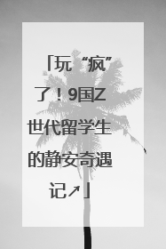 玩“疯”了！9国Z世代留学生的静安奇遇记↗