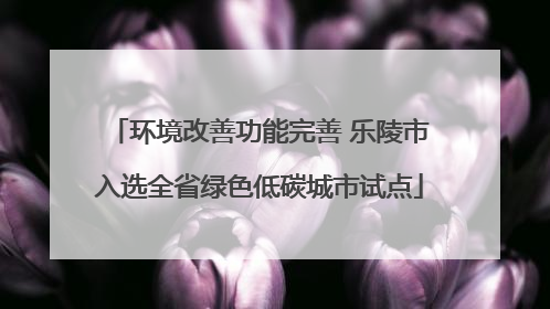 环境改善功能完善 乐陵市入选全省绿色低碳城市试点