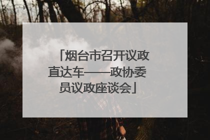 烟台市召开议政直达车——政协委员议政座谈会