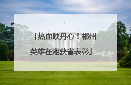 热血映丹心！郴州英雄在湘获省表彰