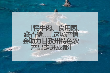 牦牛肉、食用菌、藏香猪……这场产销会助力甘孜州特色农产品走进成都