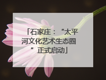 石家庄：“太平河文化艺术生态圈”正式启动