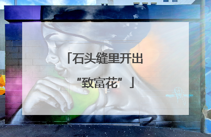 石头缝里开出“致富花”