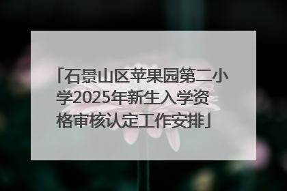 石景山区苹果园第二小学2025年新生入学资格审核认定工作安排