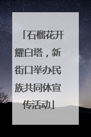 石榴花开耀白塔，新街口举办民族共同体宣传活动
