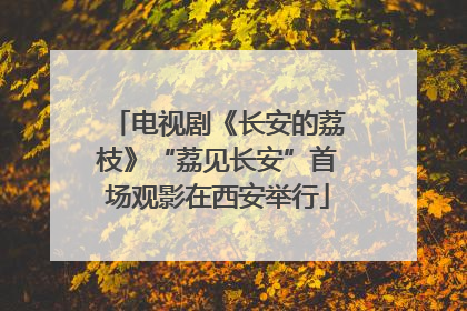 电视剧《长安的荔枝》“荔见长安”首场观影在西安举行