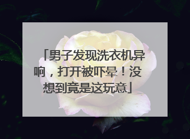 男子发现洗衣机异响，打开被吓晕！没想到竟是这玩意