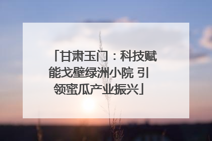 甘肃玉门：科技赋能戈壁绿洲小院 引领蜜瓜产业振兴
