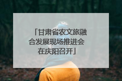 甘肃省农文旅融合发展现场推进会在庆阳召开