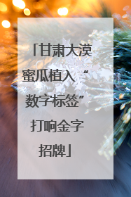甘肃大漠蜜瓜植入“数字标签” 打响金字招牌