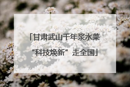 甘肃武山千年浆水菜“科技焕新”走全国