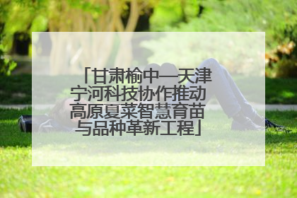 甘肃榆中—天津宁河科技协作推动高原夏菜智慧育苗与品种革新工程