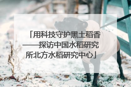 用科技守护黑土稻香——探访中国水稻研究所北方水稻研究中心