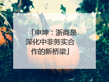 申坤：浙商是深化中非务实合作的新桥梁