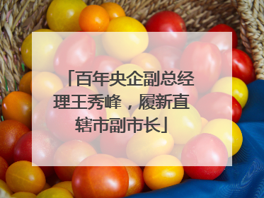 百年央企副总经理王秀峰，履新直辖市副市长