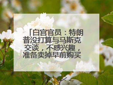 白宫官员：特朗普没打算与马斯克交谈，不感兴趣，准备卖掉早前购买的特斯拉