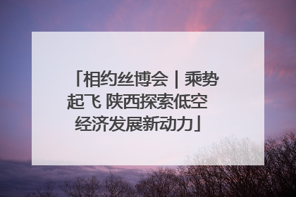 相约丝博会｜乘势起飞 陕西探索低空经济发展新动力
