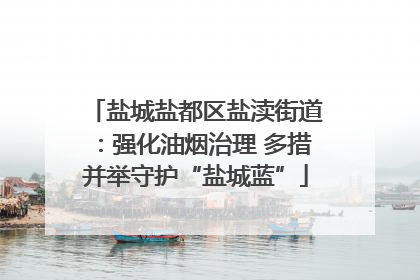 盐城盐都区盐渎街道：强化油烟治理 多措并举守护“盐城蓝”