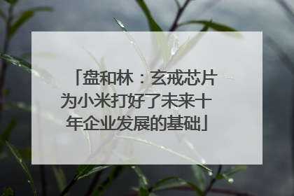 盘和林：玄戒芯片为小米打好了未来十年企业发展的基础