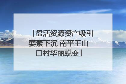盘活资源资产吸引要素下沉 南平王山口村华丽蜕变