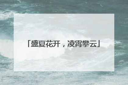 盛夏花开，凌霄攀云