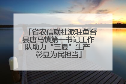 省农信联社派驻鱼台县唐马镇第一书记工作队助力“三夏”生产 彰显为民担当