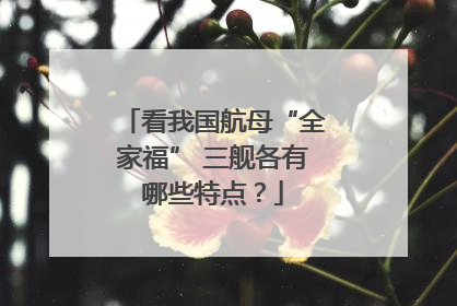看我国航母“全家福” 三舰各有哪些特点？
