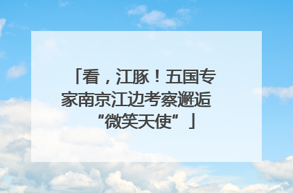 看，江豚！五国专家南京江边考察邂逅“微笑天使”