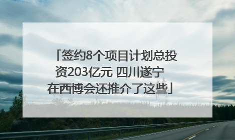 签约8个项目计划总投资203亿元 四川遂宁在西博会还推介了这些