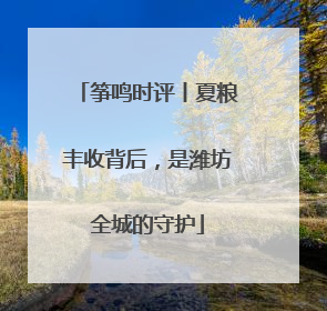 筝鸣时评丨夏粮丰收背后，是潍坊全城的守护