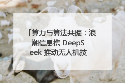 算力与算法共振：浪潮信息携 DeepSeek 推动无人机技术在舟山落地