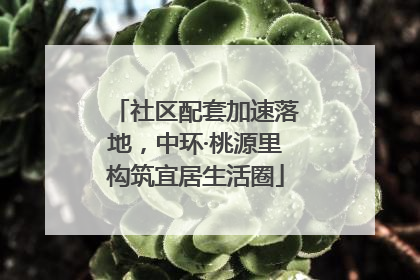 社区配套加速落地，中环·桃源里构筑宜居生活圈