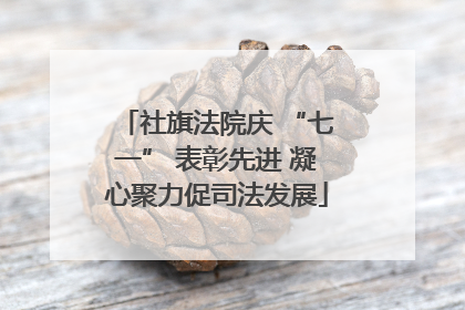 社旗法院庆 “七一” 表彰先进 凝心聚力促司法发展