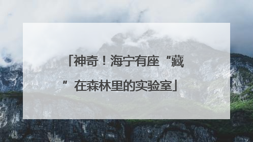 神奇！海宁有座“藏”在森林里的实验室