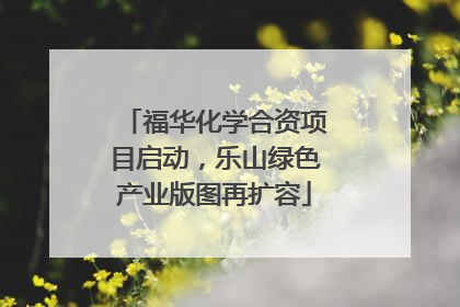 福华化学合资项目启动，乐山绿色产业版图再扩容