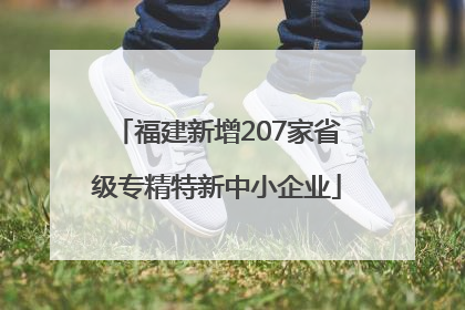 福建新增207家省级专精特新中小企业