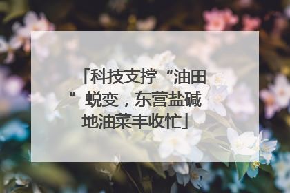 科技支撑“油田”蜕变，东营盐碱地油菜丰收忙