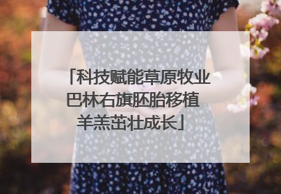 科技赋能草原牧业 巴林右旗胚胎移植羊羔茁壮成长