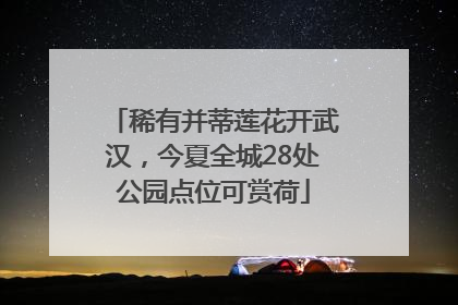 稀有并蒂莲花开武汉，今夏全城28处公园点位可赏荷