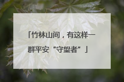 竹林山间，有这样一群平安“守望者”
