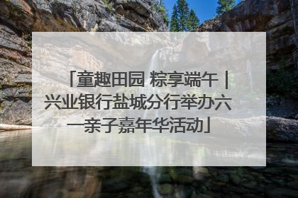 童趣田园 粽享端午｜兴业银行盐城分行举办六一亲子嘉年华活动
