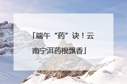 端午“药”诀！云南宁洱药根飘香