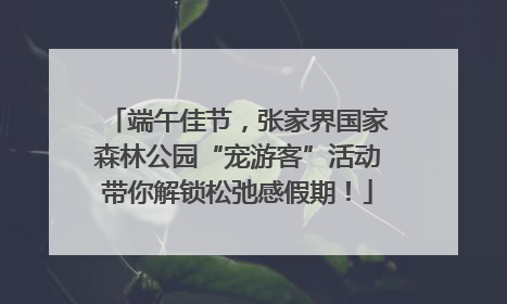 端午佳节，张家界国家森林公园“宠游客”活动带你解锁松弛感假期！