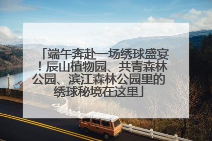 端午奔赴一场绣球盛宴！辰山植物园、共青森林公园、滨江森林公园里的绣球秘境在这里