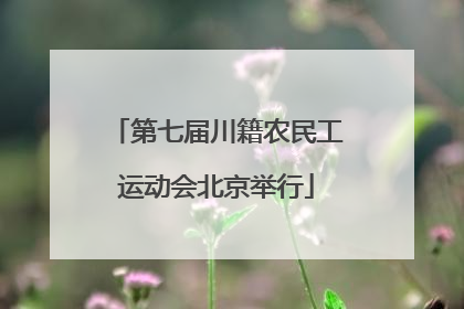 第七届川籍农民工运动会北京举行
