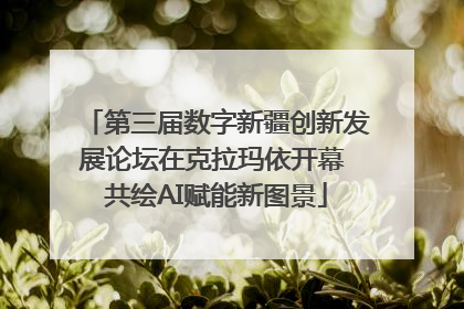 第三届数字新疆创新发展论坛在克拉玛依开幕 共绘AI赋能新图景