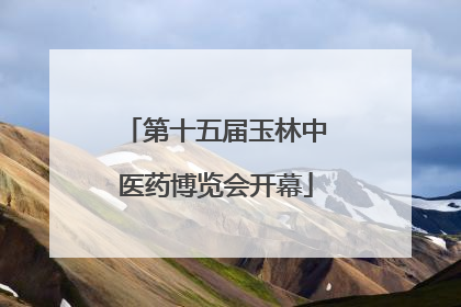 第十五届玉林中医药博览会开幕